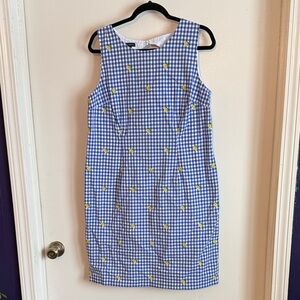 Talbots Blue and White Gingham Lemon Dress size 14